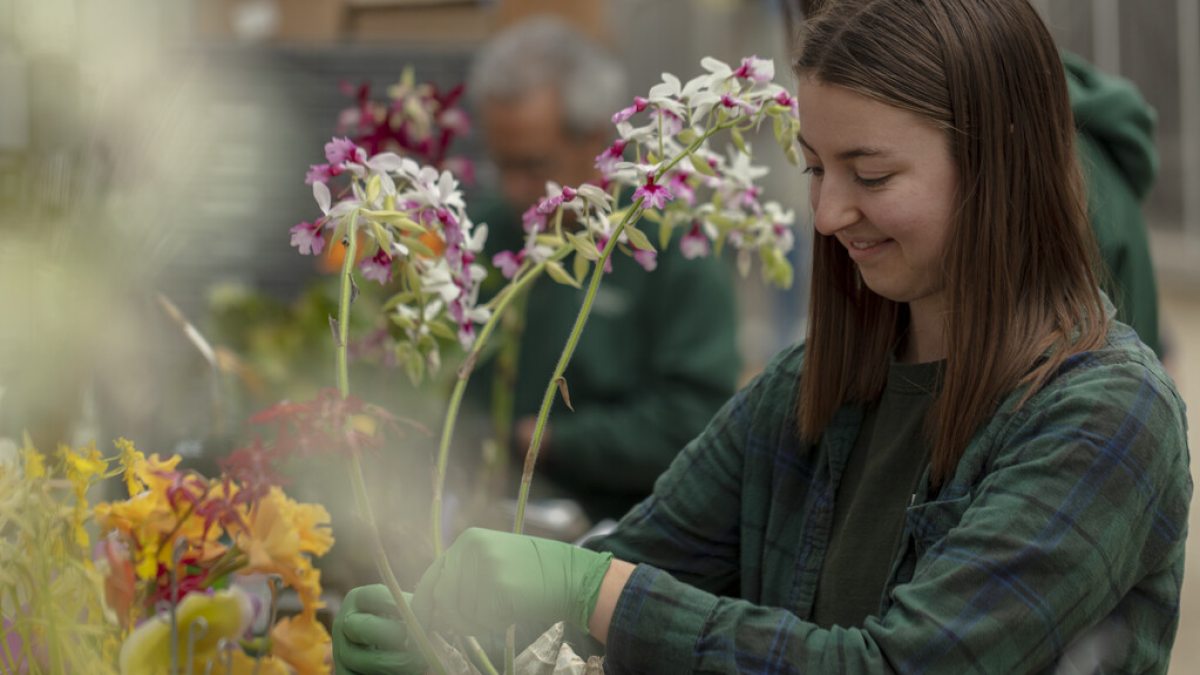 Professional Horticulture Program Longwood Gardens